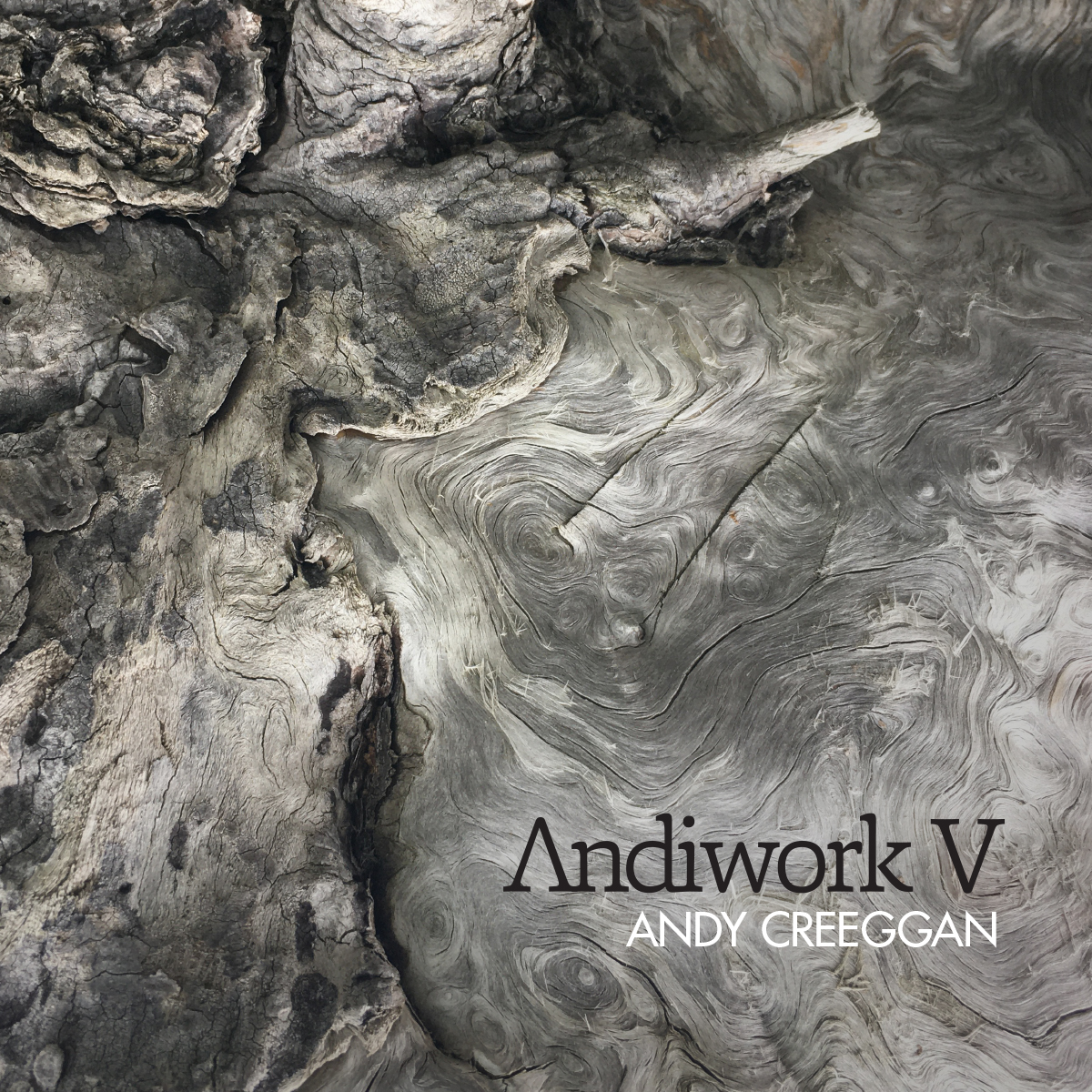 Cover_Andiwork_V.jpg