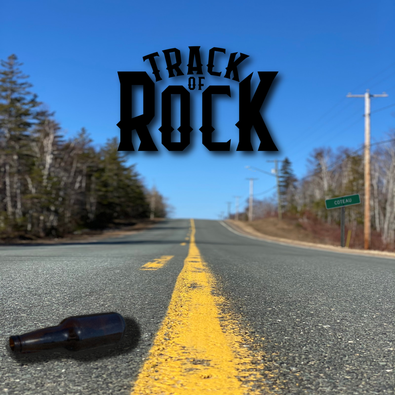 Cover_Bobby_Ray_-_Track_of_Rock.jpeg